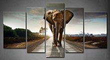 5 Stück Elefant Sonnenuntergang Wandkunst Leinwand