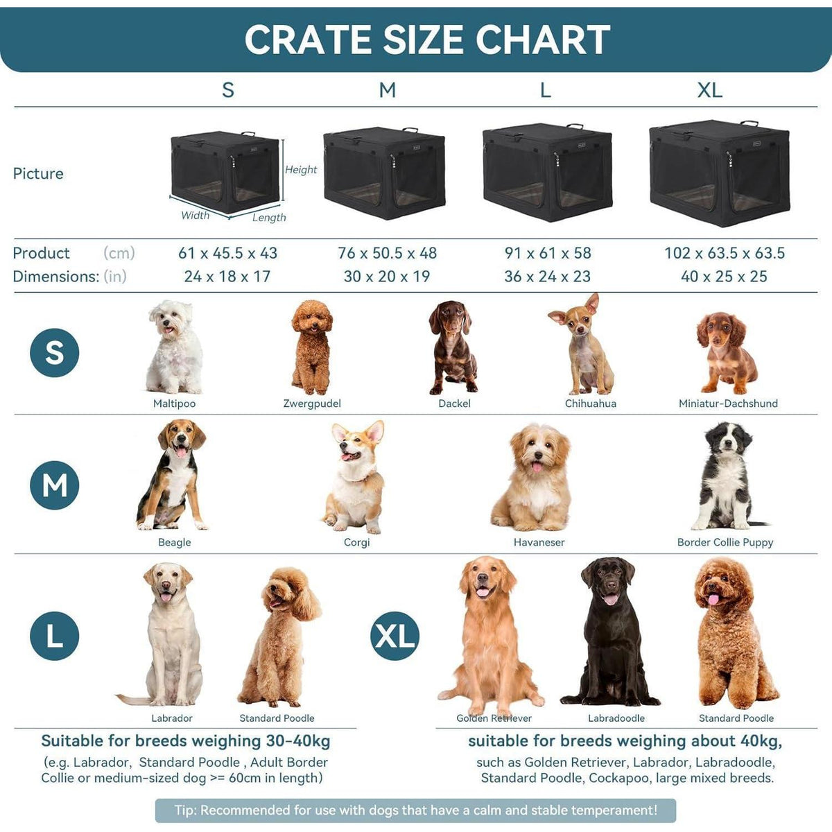 Faltbare Hundebox L – Bequem, Sicher & Platzsparend