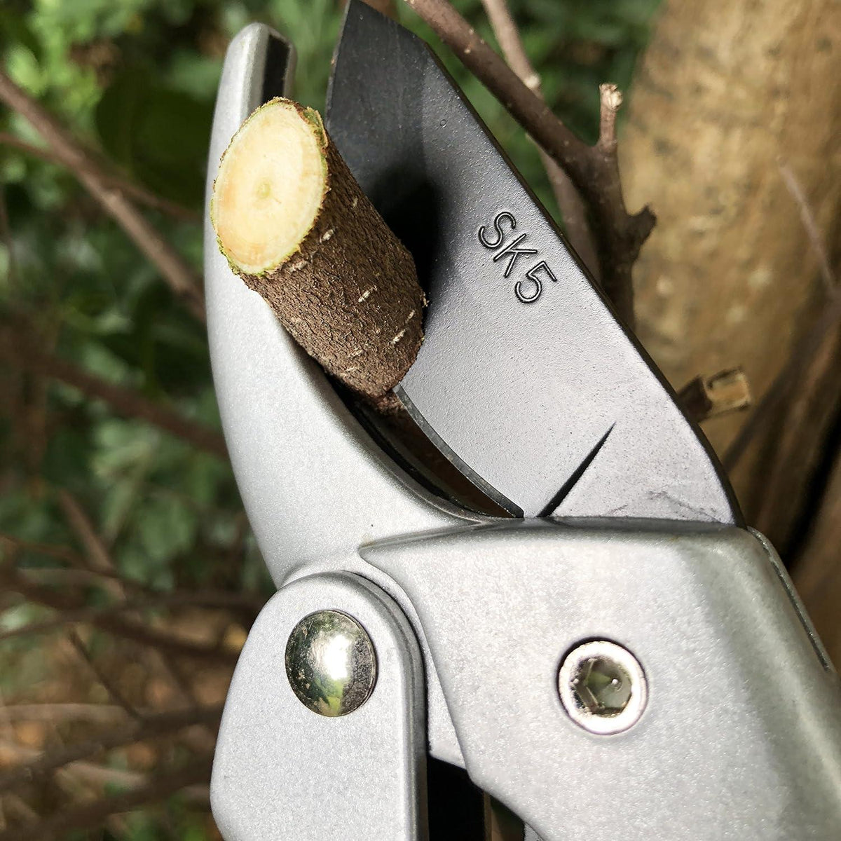Amboss-Gartenschere für stärkeres und trockenes Holz bis 24 mm - Gonicc