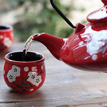 Japanisches Teeset aus Steinzeug 800 ml Teekanne mit 4