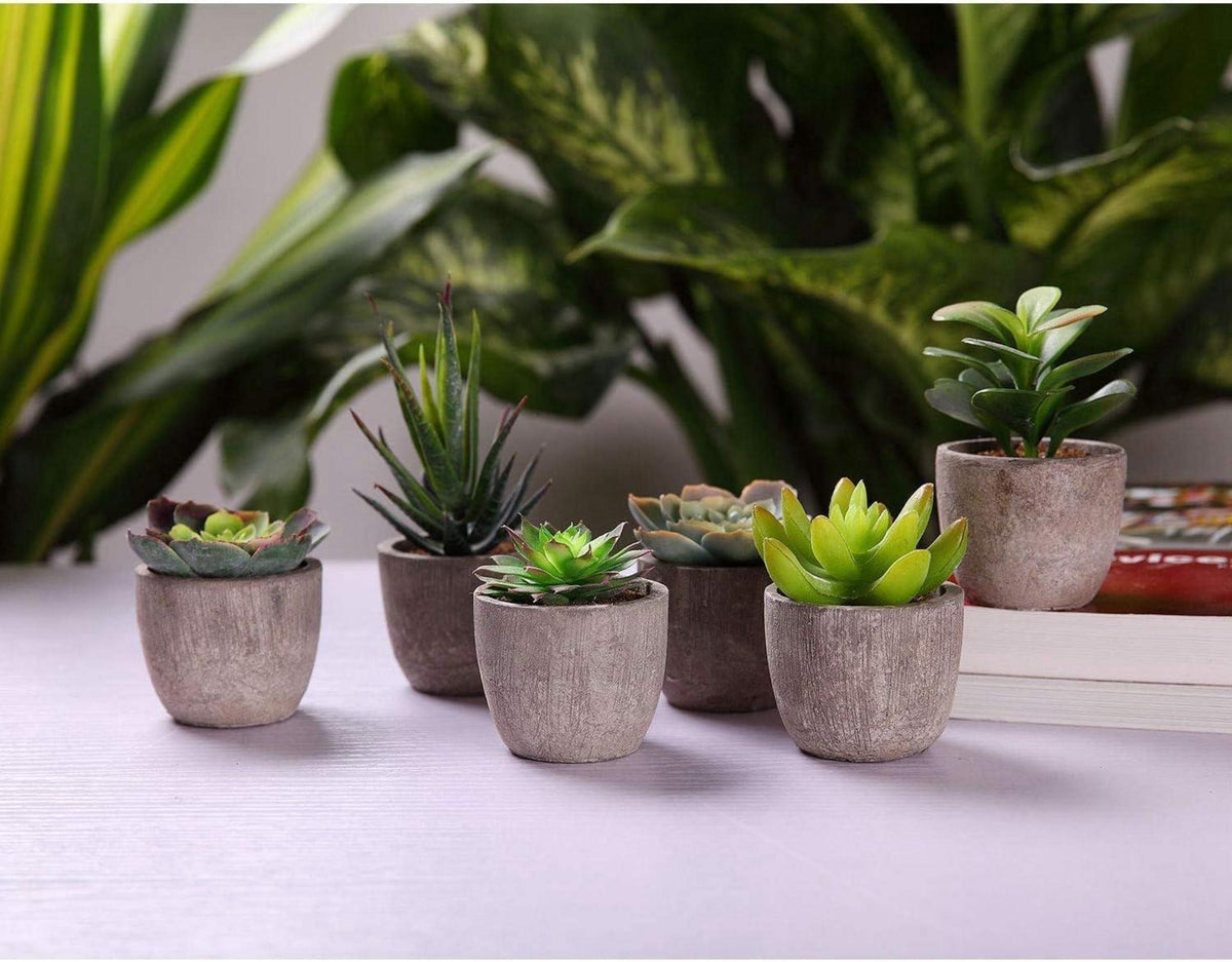 Künstliche Sukkulenten Set 6er Mini Dekorative Bonsai Pflanzen Topf