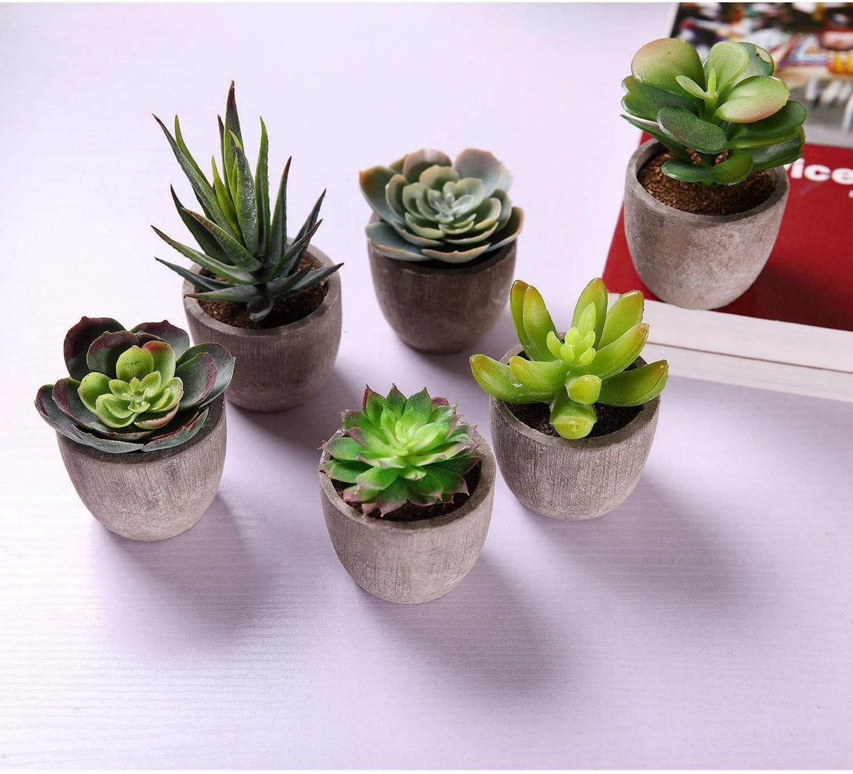 Künstliche Sukkulenten Set im Betontopf 6er Pack - Dekorative Kunstpflanze Bonsai