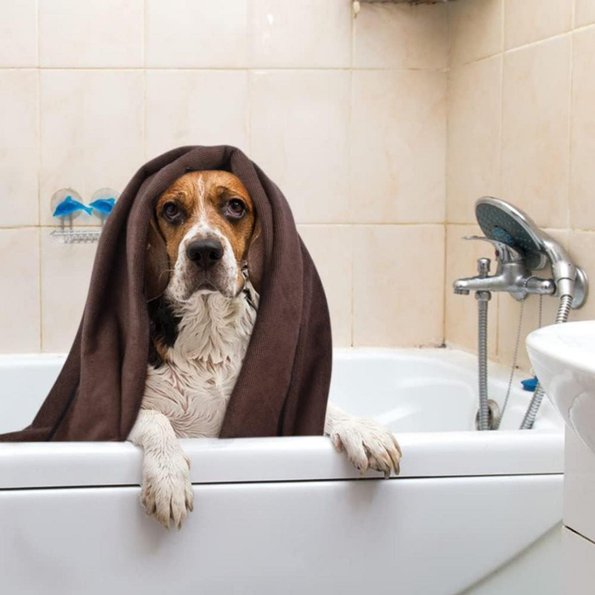 Mikrofaser Hund Badetuch für Hunde und Katzen 76x127cm Braun