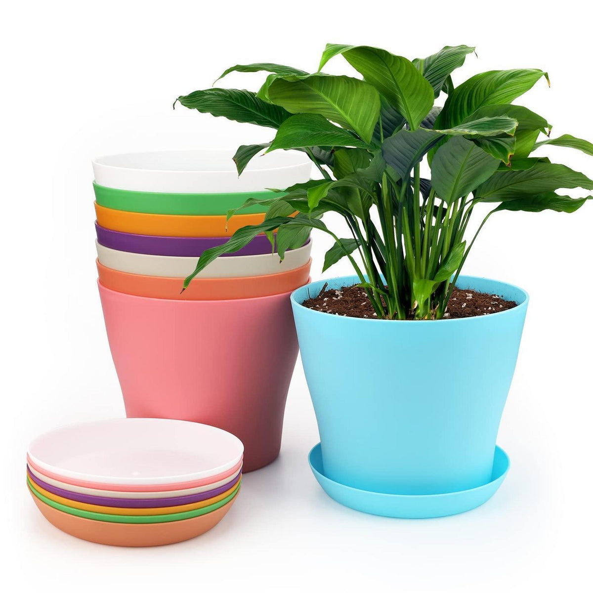 8 Pflanztöpfe 14cm mit Untersetzer – Ideal für Kakteen & Sukkulenten