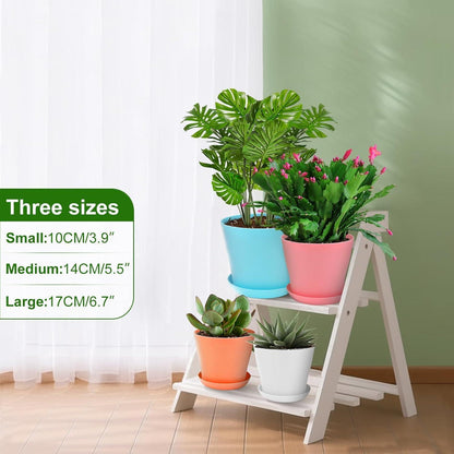 8 Pflanztöpfe 14cm mit Untersetzer – Ideal für Kakteen & Sukkulenten