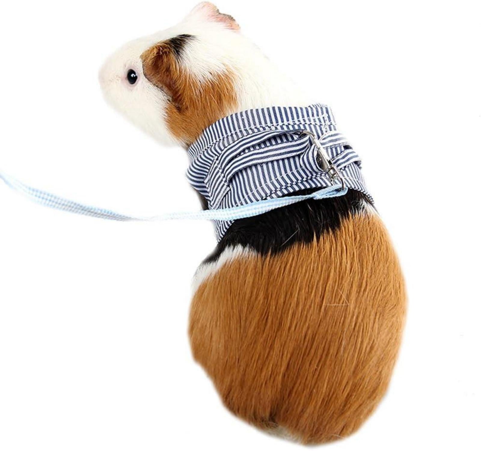 ASOCEA Kleintier Geschirr und Leine verstellbar für Ratten Frettchen