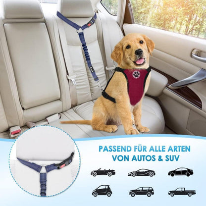 SlowTon Hundegurt Auto 2 Stück Kopfstütze Anschnallgurt Blau