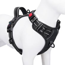 PHOEPET Hundegeschirr, ohne