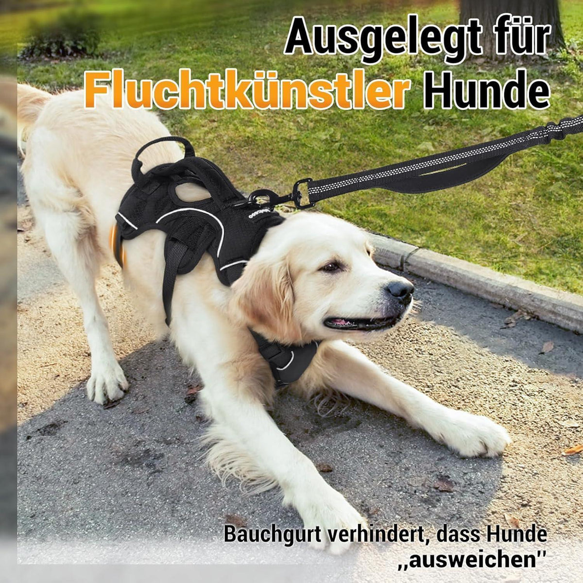 Hundegeschirr mit Griff, ausbruchsicher, L, Schwarz