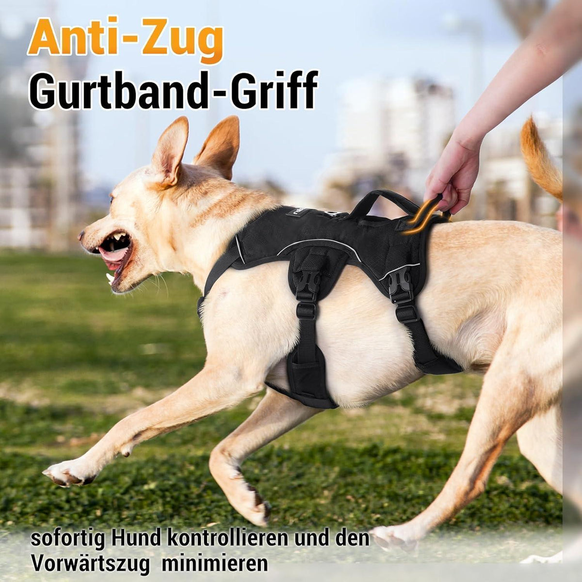 Hundegeschirr mit Griff, ausbruchsicher, L, Schwarz