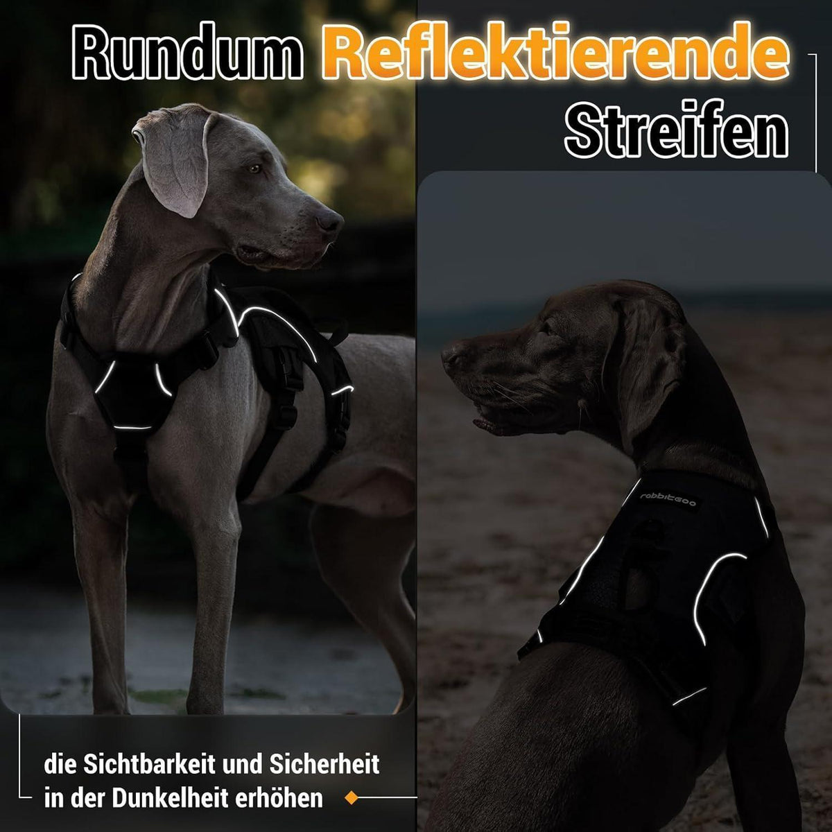 Hundegeschirr mit Griff, ausbruchsicher, L, Schwarz