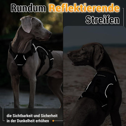 Hundegeschirr mit Griff, ausbruchsicher, L, Schwarz