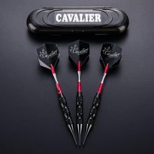 Soft Dartpfeile 20g Turnier Set Schwarz Metallfässer mit Transportbox