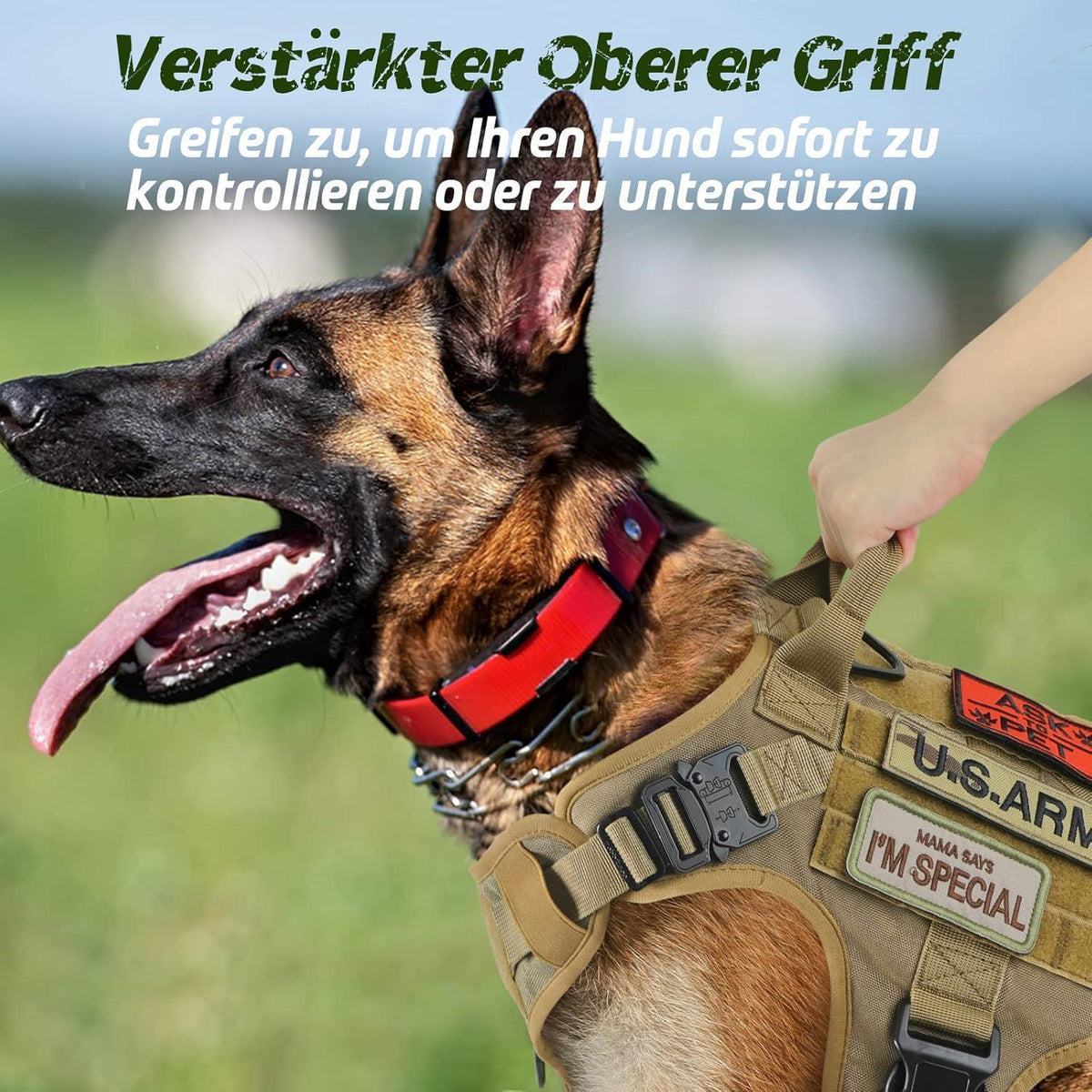 Taktisches Hundegeschirr mit MOLLE-System, L Braun