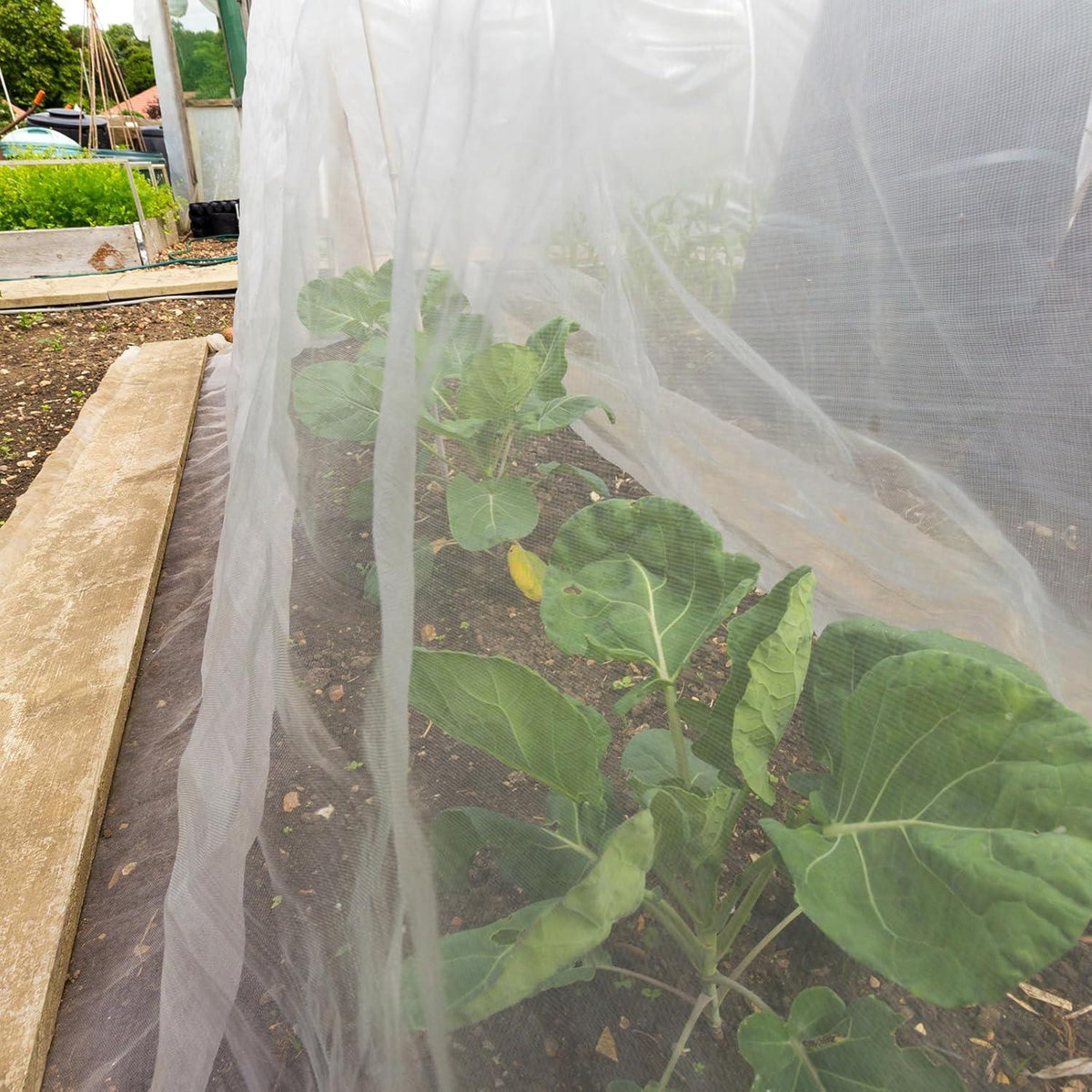Insektenschutznetz 3x10m Weiß Feinmaschig, Fliegennetz Vogelnetz