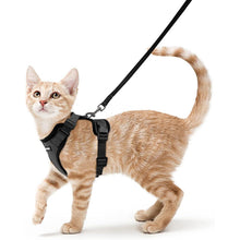 Katzengeschirr mit Leine Schwarz Softgeschirr verstellbar