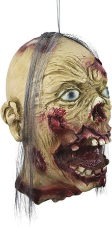 Halloween Realistischer Abgetrennter Zombiekopf Prop mit