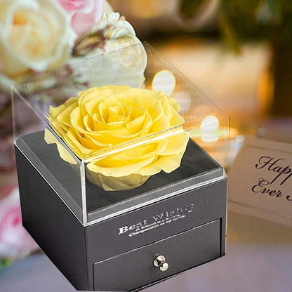 Ewige gelbe konservierte Rose mit Brosche, Geschenkbox für