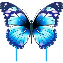 Schmetterling Drachen für Kinder und Erwachsene – Blau, leicht verstaubar