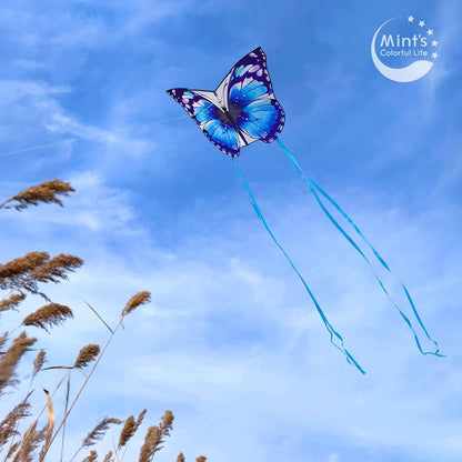 Schmetterling Drachen für Kinder und Erwachsene – Blau, leicht verstaubar