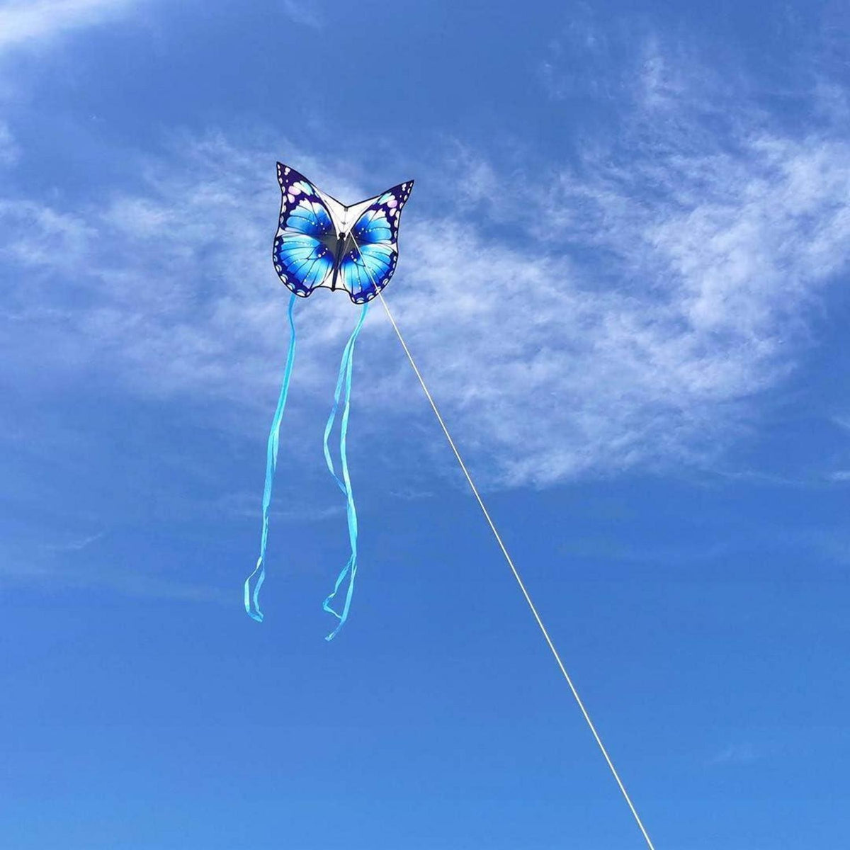 Schmetterling Drachen für Kinder und Erwachsene – Blau, leicht verstaubar