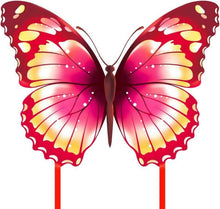 Schmetterling Drachen für Kinder und