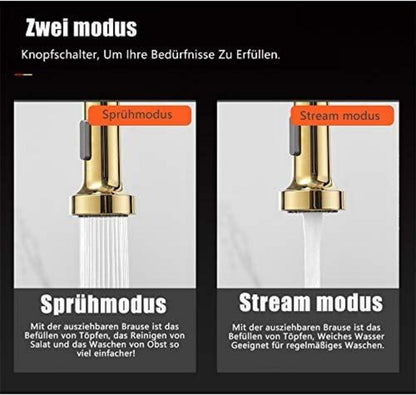 Wasserhahn Küche Gold 360° Drehbar Mischbatterie Abdichtung