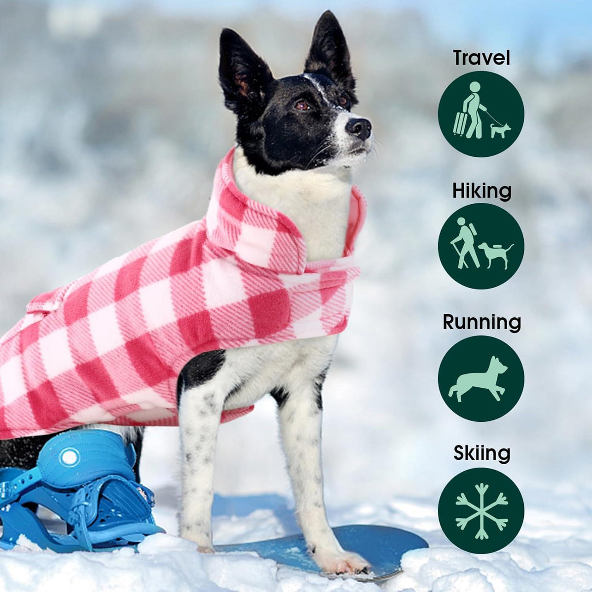Hunde Wintermantel Kleine Wasserdicht Warm Outdoor Geschirr Loch S