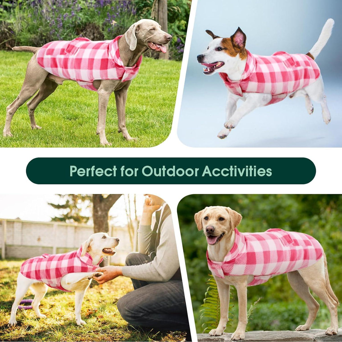 Hunde Wintermantel Wasserdicht Outdoor mit Geschirr Loch L