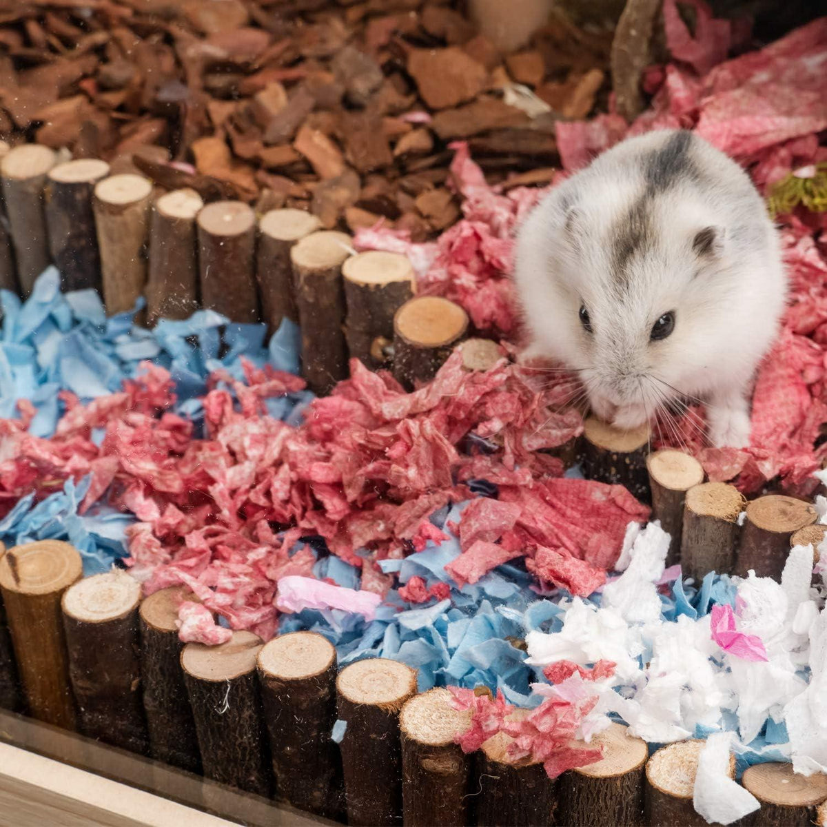 Hamster Hängebrücke Spielzeug Kletterleiter für Zwerghamster Mäuse Gerbils 72cm