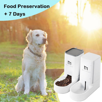 Automatisches 2-in-1 Futter- und Wasserspender für Haustiere, 3,8 l