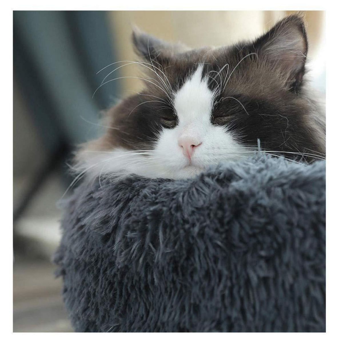 Flauschiges Hundebett Dunkelgrau 80cm – Abnehmbar & Waschbar
