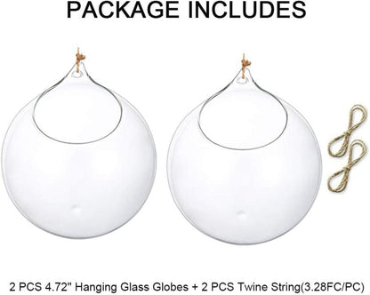 Hängende Glaskugel Vase Sukkulenten Terrarium Glas 2 Pcs 12cm Clear