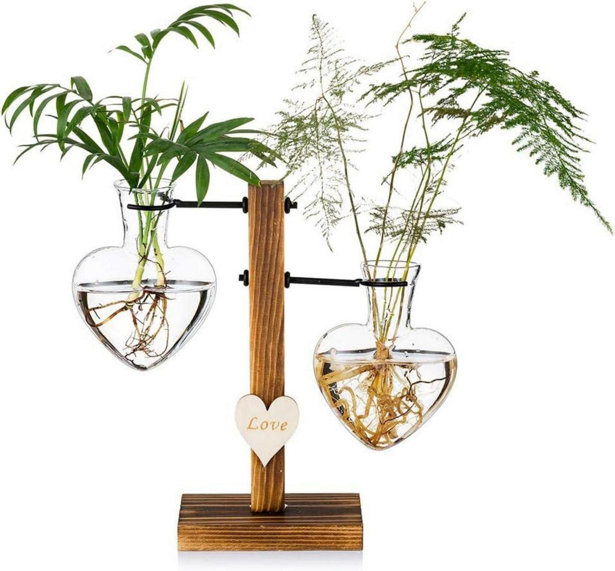 Glasseam Doppelherz Glaspflanzenterrarium Holzständer Hydroponikvasen
