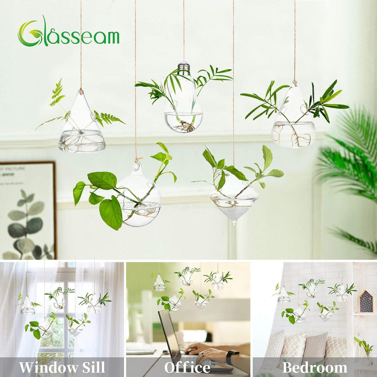 Hängende Glas Pflanzgefäße Wasserpflanzen Terrarium 5er Set