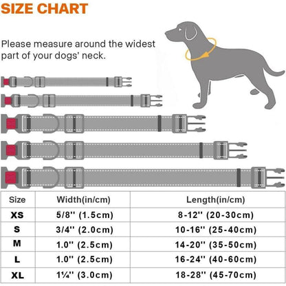Hundehalsband Neopren Gepolstert Verstellbar Türkis L