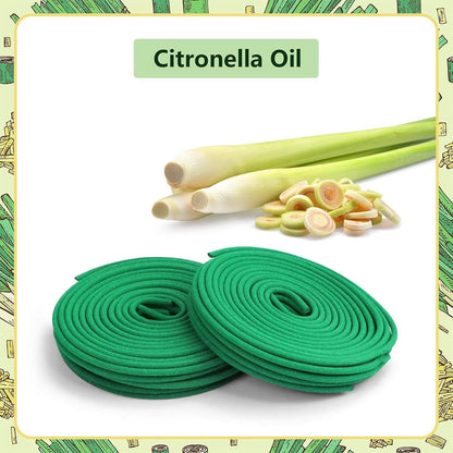 Citronella Räucherspiralen für Innen & Außen, 48 Stück
