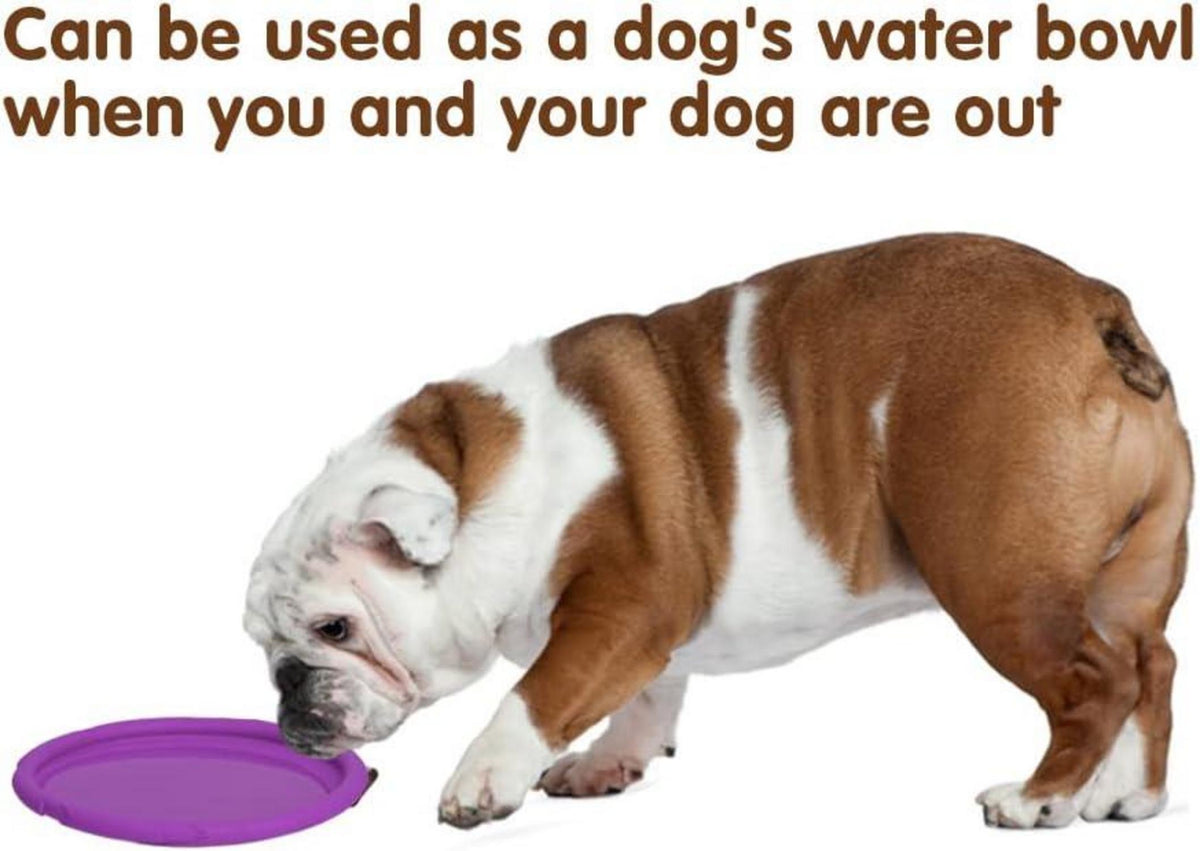 Vivifying Hundefrisbee 18cm Kautschuk 2 Stk. Grün Lila Land Wasser