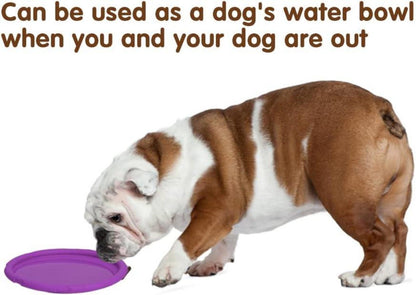 Vivifying Hundefrisbee 18cm Kautschuk 2 Stk. Grün Lila Land Wasser