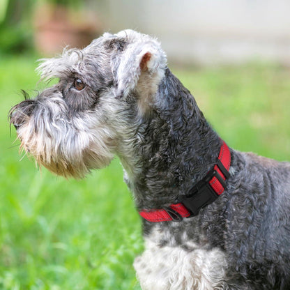 Joytale Gepolstertes Hundehalsband aus Neopren Nylon Rot M