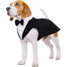 Kuoser Hund Smoking Anzug Bandana Set Hochzeit Halloween