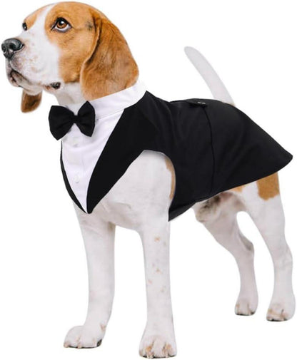 Kuoser Hund Smoking Anzug Bandana Set Schwarz S-XXL