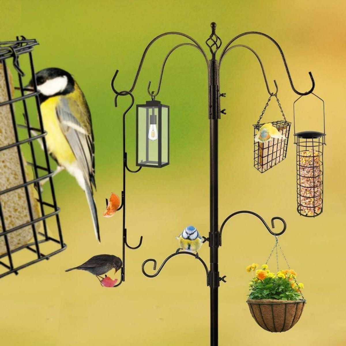 Vogel Futterstation Set mit Ständer – 238cm Höhenverstellbar