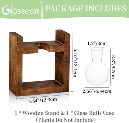 Avocado Glas Vase Holzregal Terrarium Pflanzgefäß Grünpflanzen