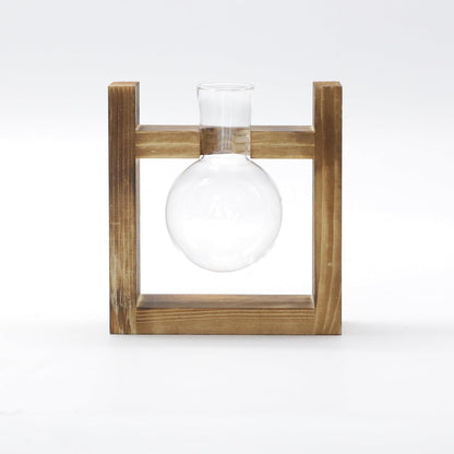 Vermehrungsstation Glühbirne Avocado Vase Terrarium Glas Holzregal