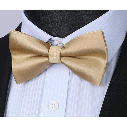 Herren Fliege vorgebunden Champagner Paisley verstellbar