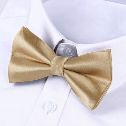 Herren Fliege vorgebunden Champagner Paisley verstellbar