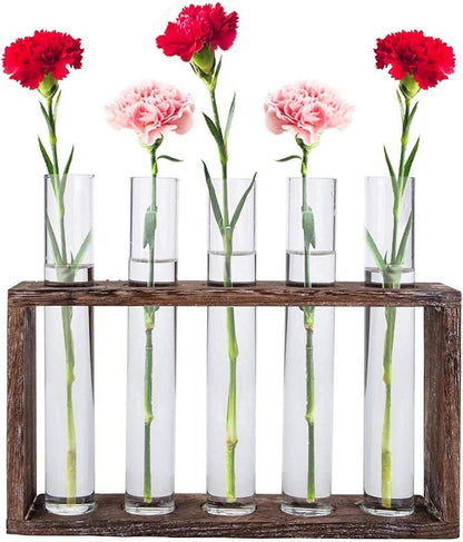 Hydrokultur Reagenzglas Vase Halter Set mit 5 Rohren Holz