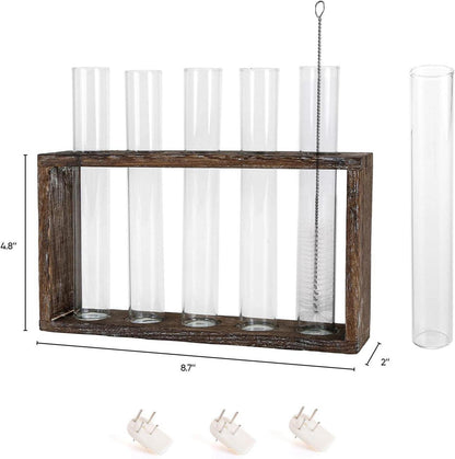 Jucoan Reagenzglas Vase Set für Hydrokultur Pflanzen mit Holz Halter