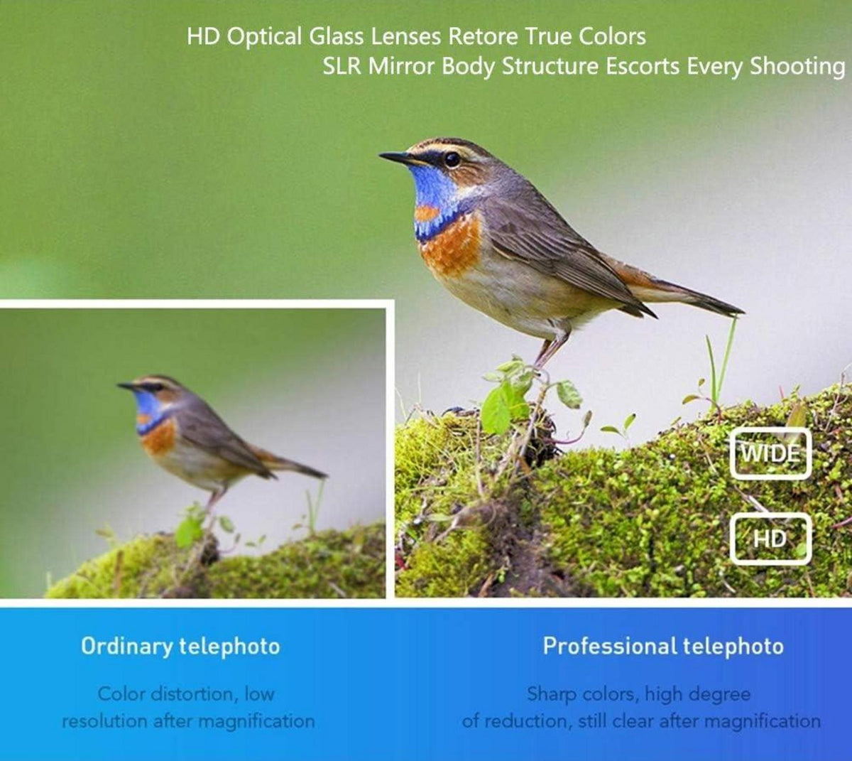 Apexel HD 20-40X Zoomobjektiv mit Stativ für iPhone Huawei Samsung